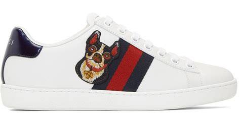 gucci sneaker dog